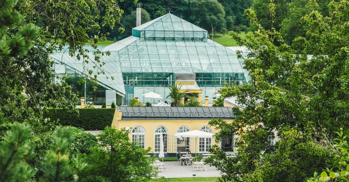 Bergianska trädgården